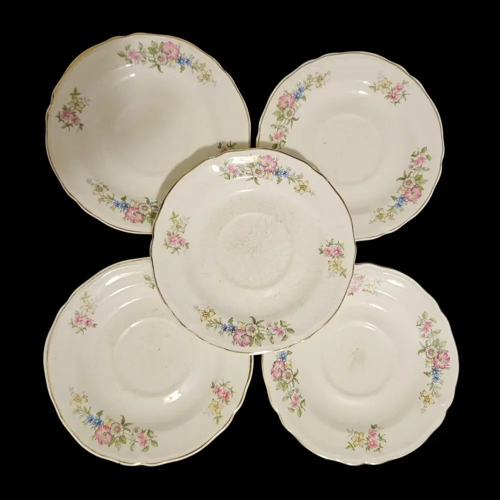 Edwin M Knowles Floral Saucers Set 5 Gold Trim Semi Vitreous USA